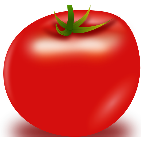 SVG Tomato-1573561296