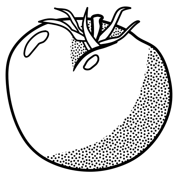 SVG Tomato line art vector graphics