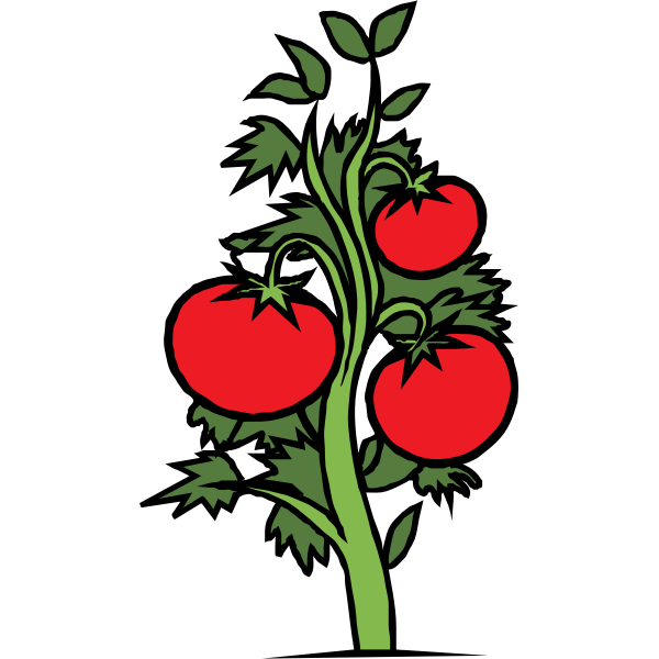 SVG Tomato plant vector clip art
