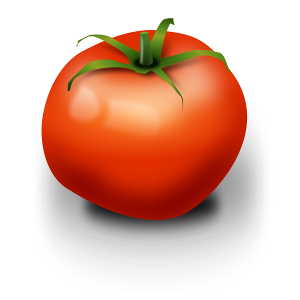 SVG Tomato vector image
