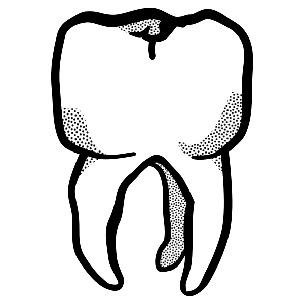 SVG Tooth
