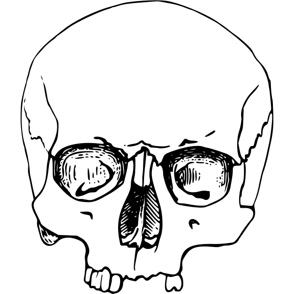 SVG Toothless skull