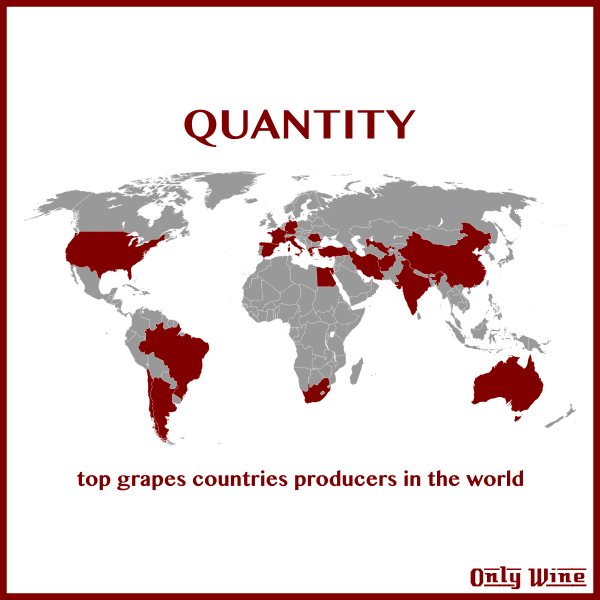 SVG Top grapes map