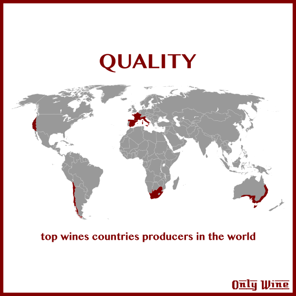 SVG Top wine producers