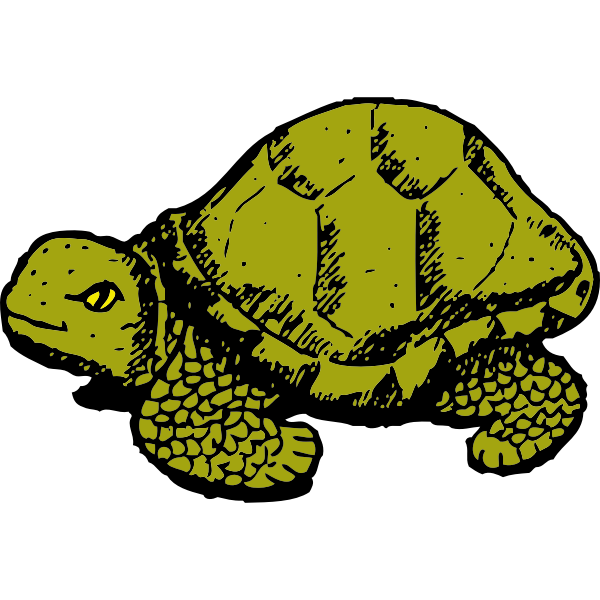 SVG tortoise
