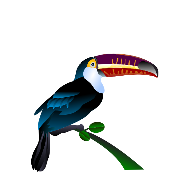 SVG Toucan image