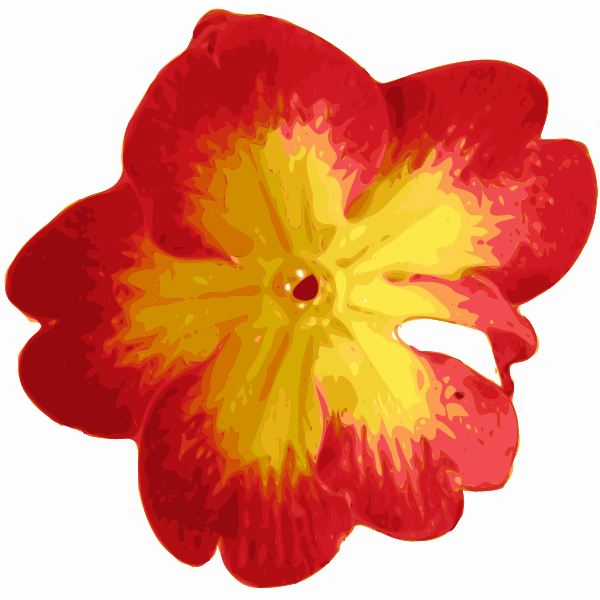 SVG Traced vector flower