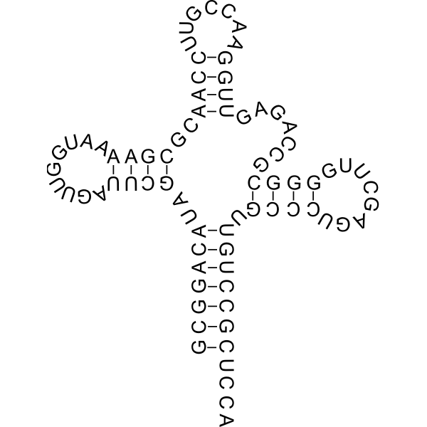 SVG Transfer RNA