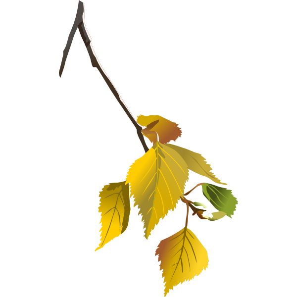 SVG Tree branch in autumn vector drawing