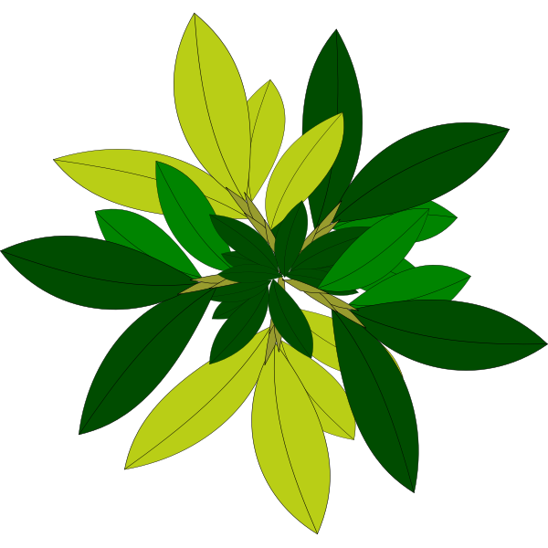 SVG Tree leaves