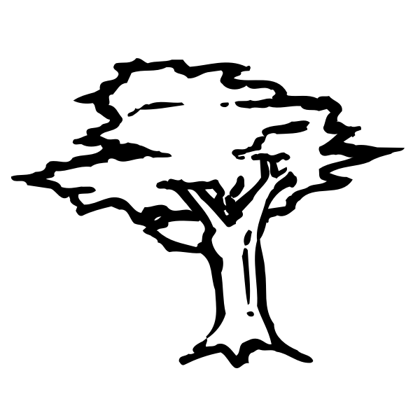 SVG Tree sketch