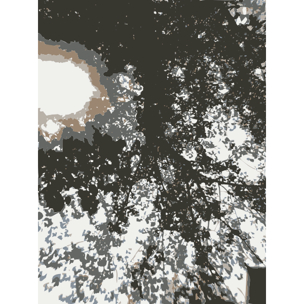 SVG Trees and sun canopy