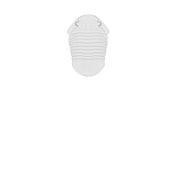 SVG Trilobite - Asaphus