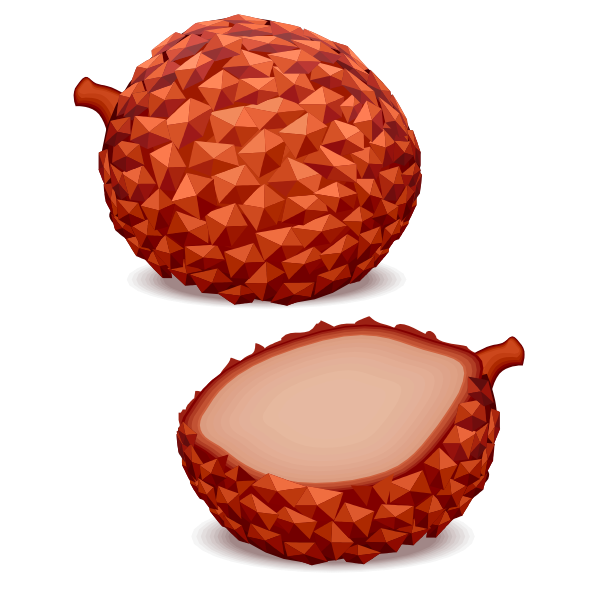 SVG Tropical fruit vector image