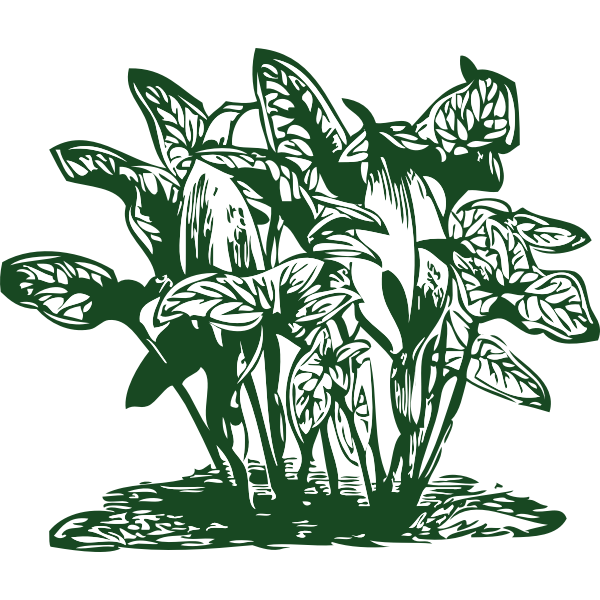 SVG tropical plants