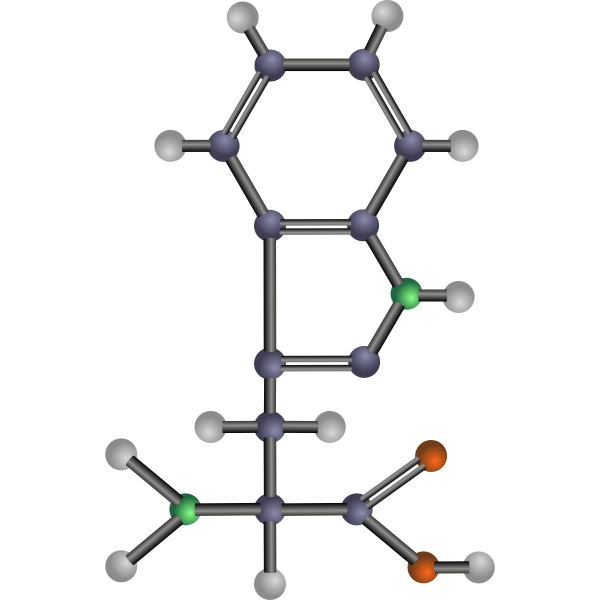 SVG Tryptophan amino acid