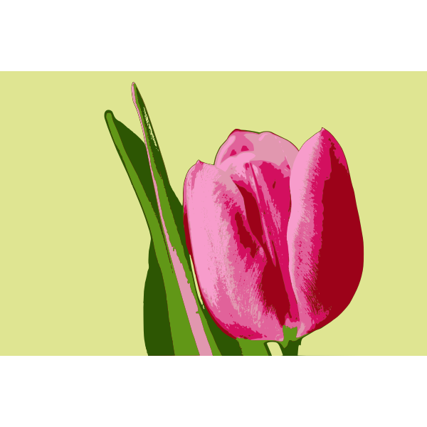 SVG Tulip