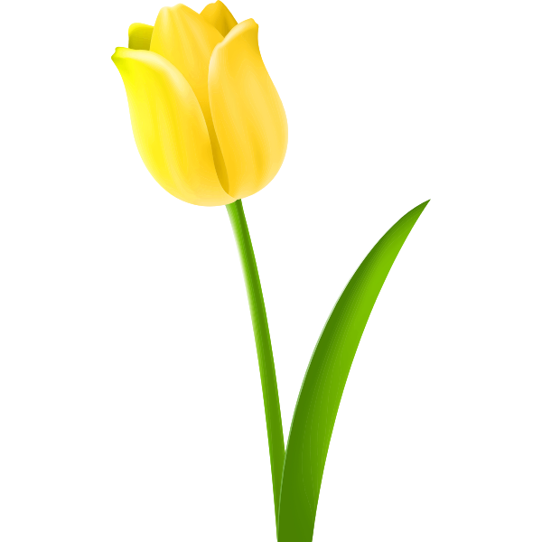 SVG Tulip Colour yellow