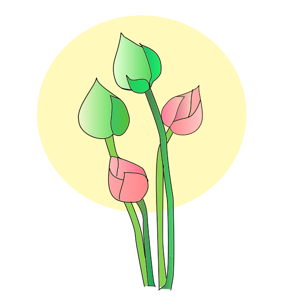 SVG Tulip flower vector