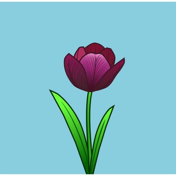 SVG Tulip line