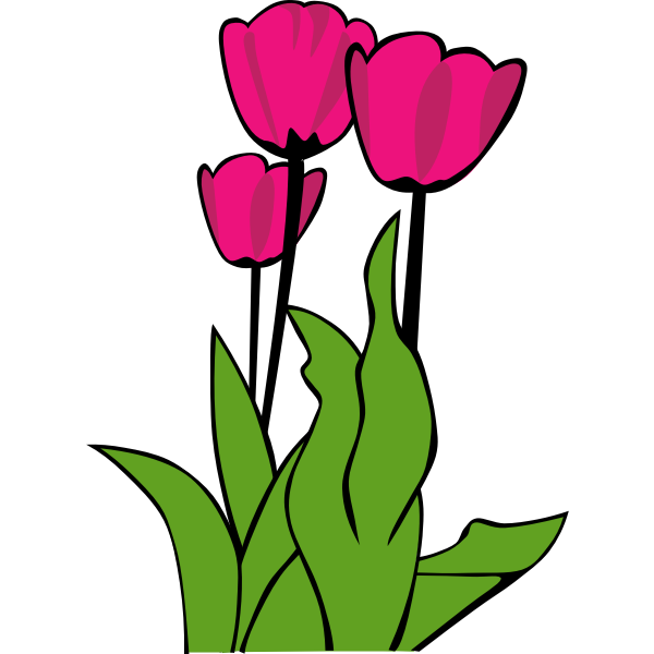 SVG Tulips