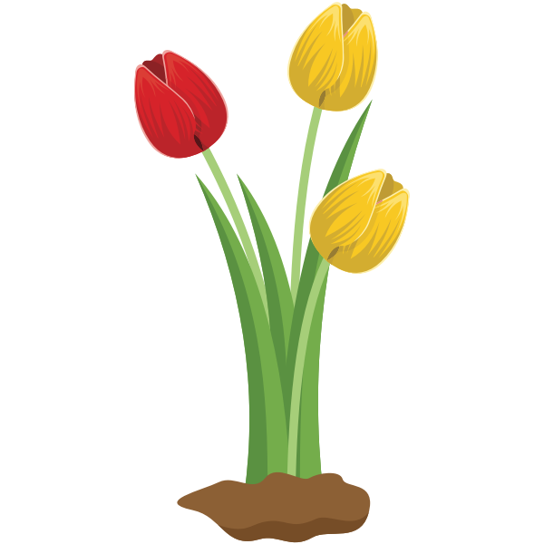 SVG Tulips