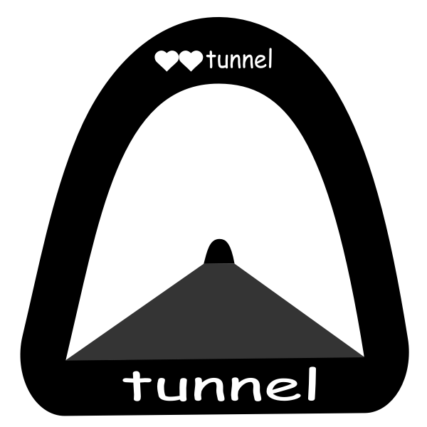 SVG Tunnel icon