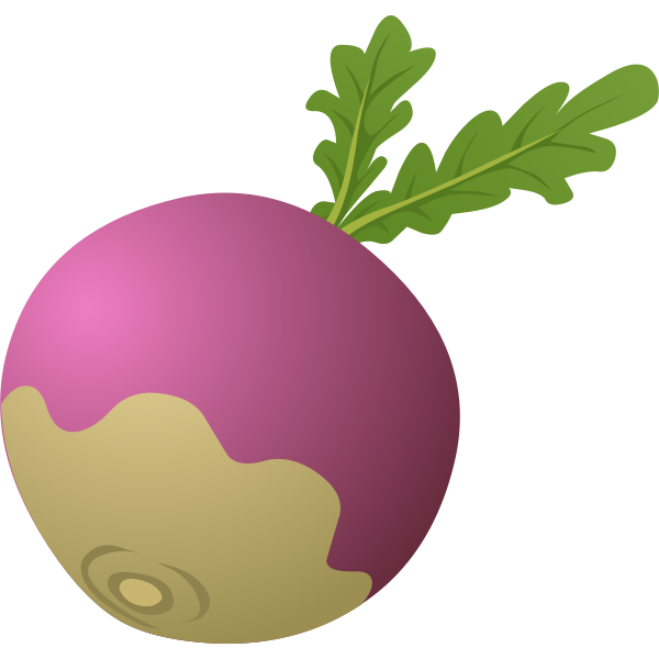 SVG Turnip