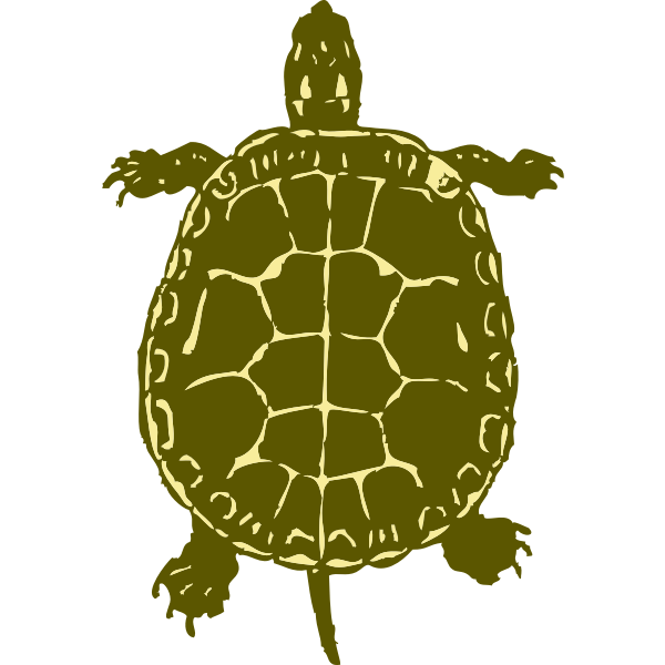 SVG turtle