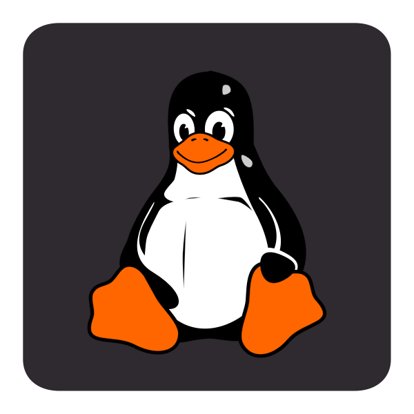 SVG Tux color computer key