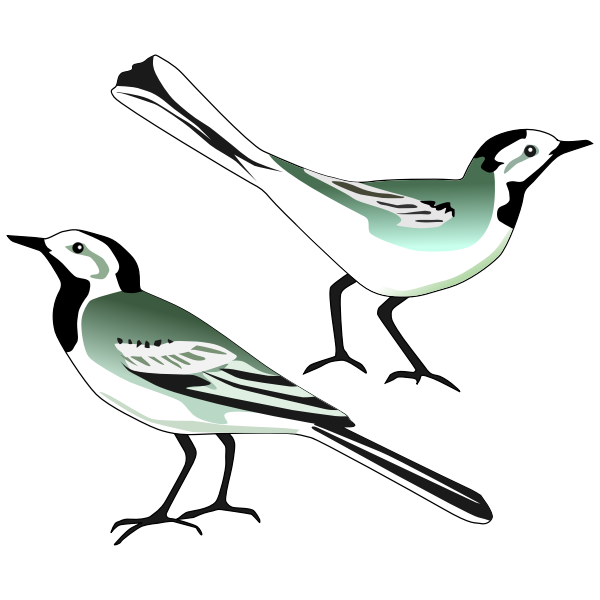 SVG Two birds