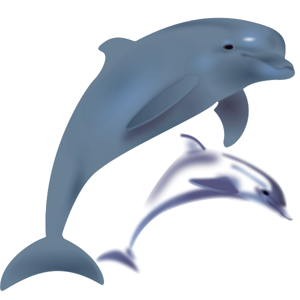 SVG Two dolphins