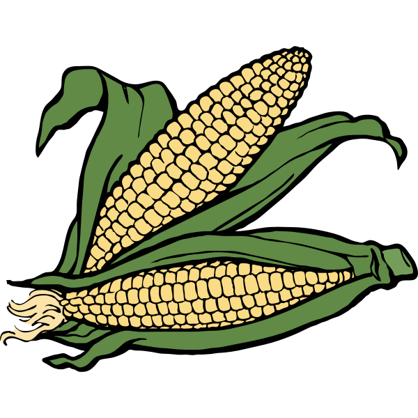 SVG Two ears of corn vector illustration