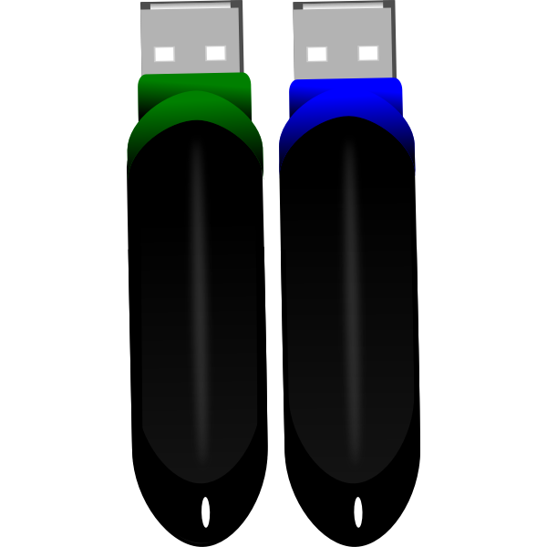 SVG Two flash drives vector image