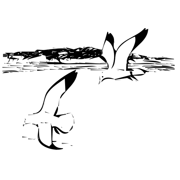 SVG Two herring gulls in flight vector image