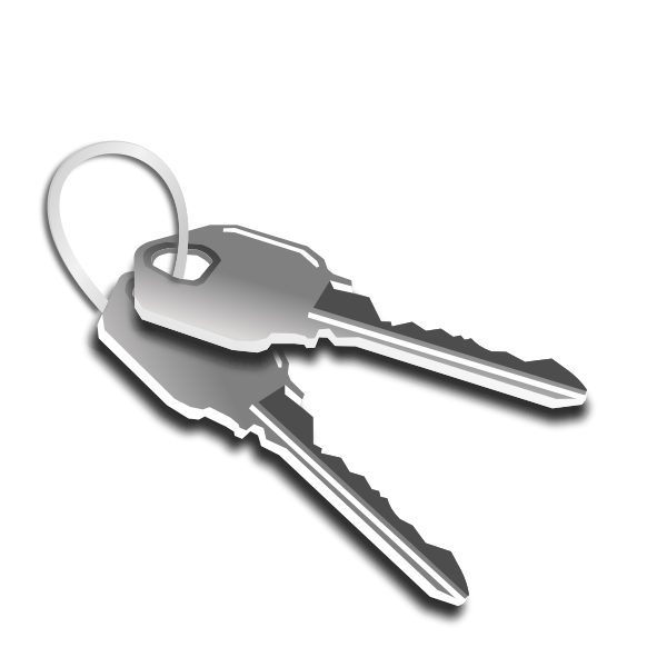 SVG Two keys on a keychain vector graphics