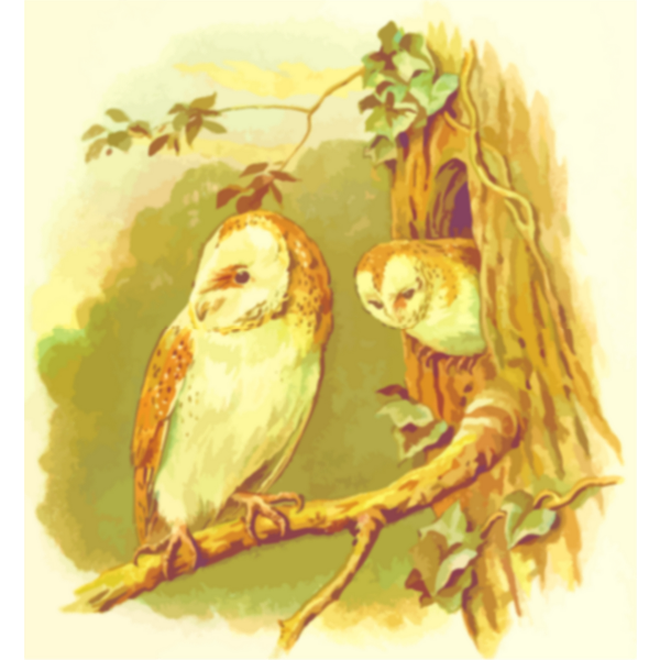 SVG Two owls image