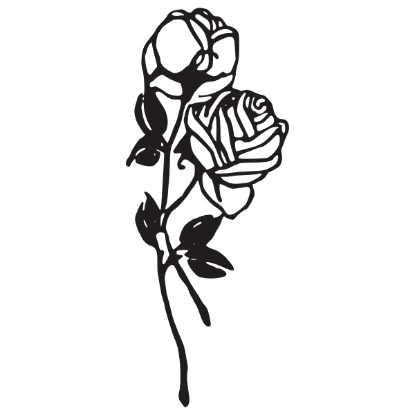 SVG Two roses vector image
