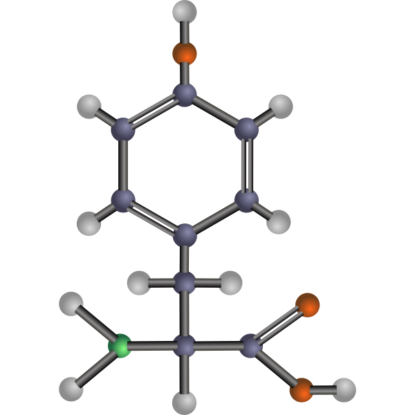 SVG Tyrosine amino acid