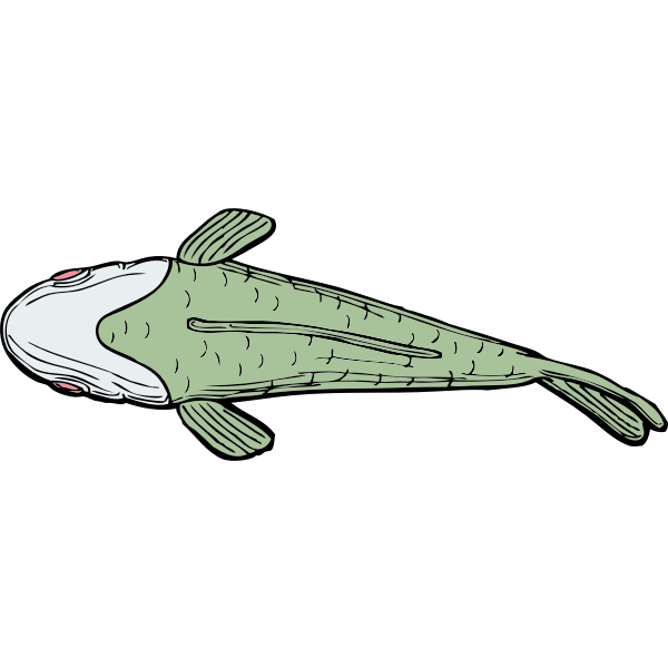 SVG Ugly fish top view vector illustration