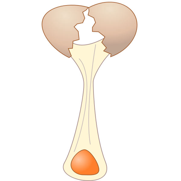 SVG Uovo rotto - broken egg