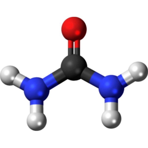 SVG Urea molecule 3d