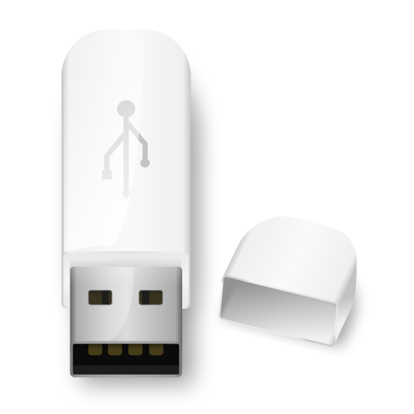 SVG USB flash drive icon vector image