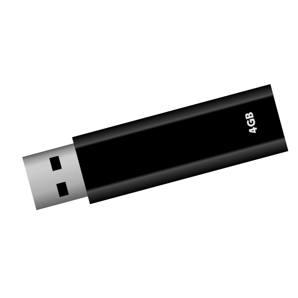 SVG USB flash drive vector image