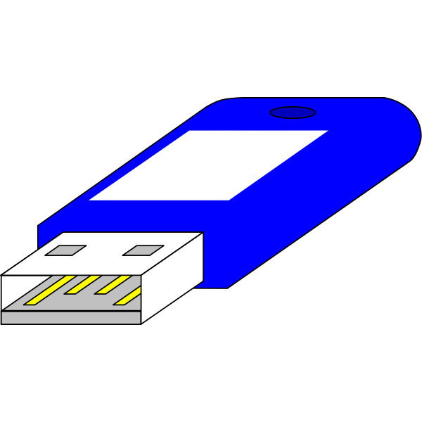 SVG USB key from connector side vector image