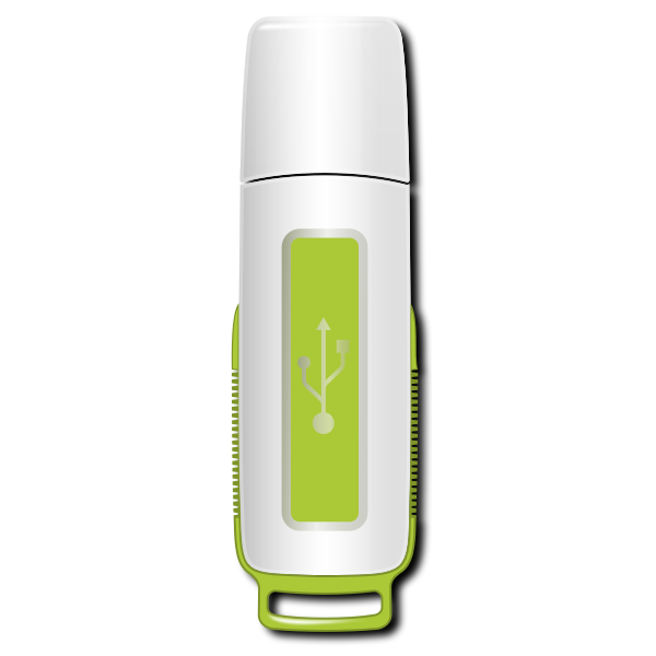 SVG USB stick vector image