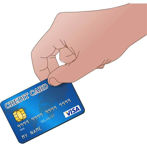 SVG Use credit card vector image