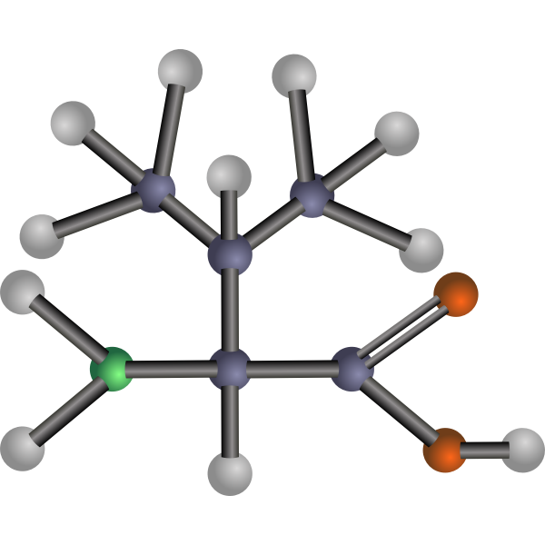 SVG Valine amino acid