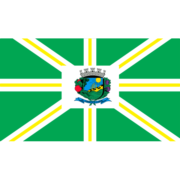 SVG Valinhos Flag