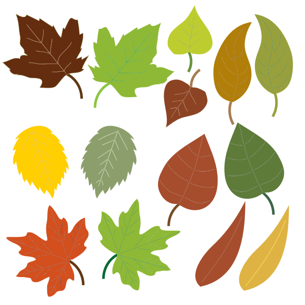 SVG Variety of leaves